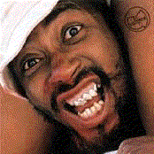 Ol' Dirty Bastard - List pictures