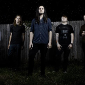 Dreamer - List pictures