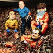 Anderson - List pictures