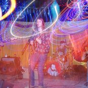 Miniature Tigers - List pictures