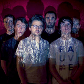 Fauve - List pictures