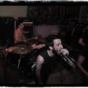 Toad - List pictures