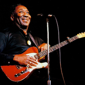 Muddy Waters - List pictures