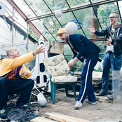 June - List pictures