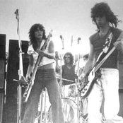 The Dogs - List pictures