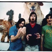 Liars - List pictures