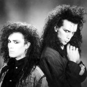 Dead Or Alive - List pictures