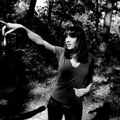 Field Mouse - List pictures