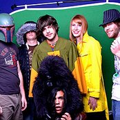 Annuals - List pictures