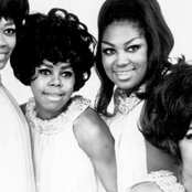 The Shirelles - List pictures