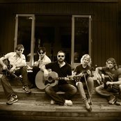 The Feelers - List pictures