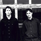 Iris - List pictures