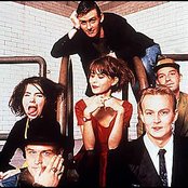 Sugarcubes - List pictures