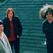 The Melvins - List pictures