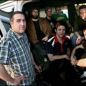 Pietasters - List pictures