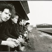 Half Man Half Biscuit - List pictures