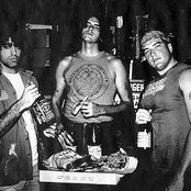 Carnivore - List pictures