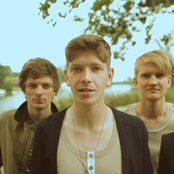 Dog Is Dead - List pictures