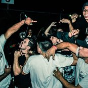 Dynasty - List pictures