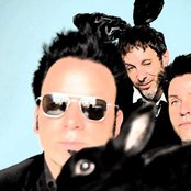 Mercury Rev - List pictures