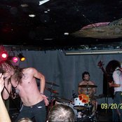 An Albatross - List pictures