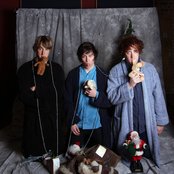 Wombats - List pictures