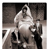 Buffalo Springfield - List pictures