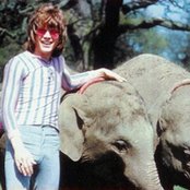 Edison Lighthouse - List pictures