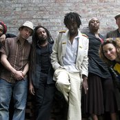 Easy Star All-stars - List pictures