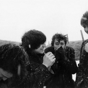 Chameleons - List pictures