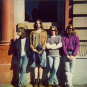 Reef - List pictures