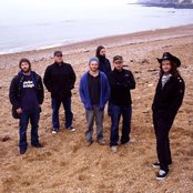 The Bees - List pictures