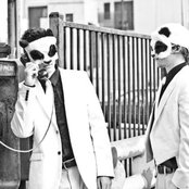 The White Panda - List pictures