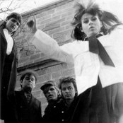 The Divinyls - List pictures