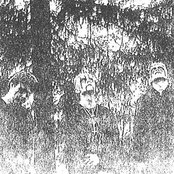 Darkwoods My Betrothed - List pictures