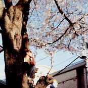 Ayaka - List pictures