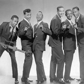 The Contours - List pictures