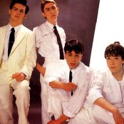 Talk Talk - List pictures