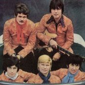 Wonderland - List pictures