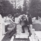 Agent Orange - List pictures