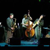 Polar Bear - List pictures