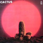Cactus - List pictures