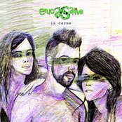 Eruca Sativa - List pictures