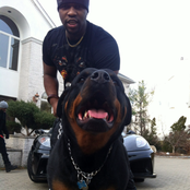 Asap Ferg - List pictures