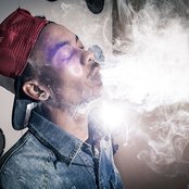 Teeflii - List pictures