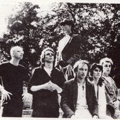 Legendary Pink Dots - List pictures