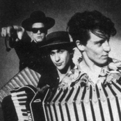 The Woodentops - List pictures