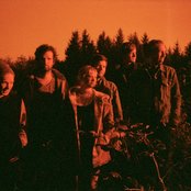 Silver Firs - List pictures