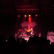 The Lions - List pictures