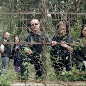 Icycore - List pictures